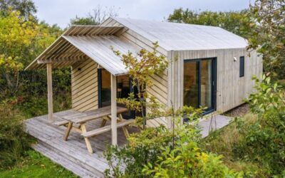 Duincamping De Lepelaar